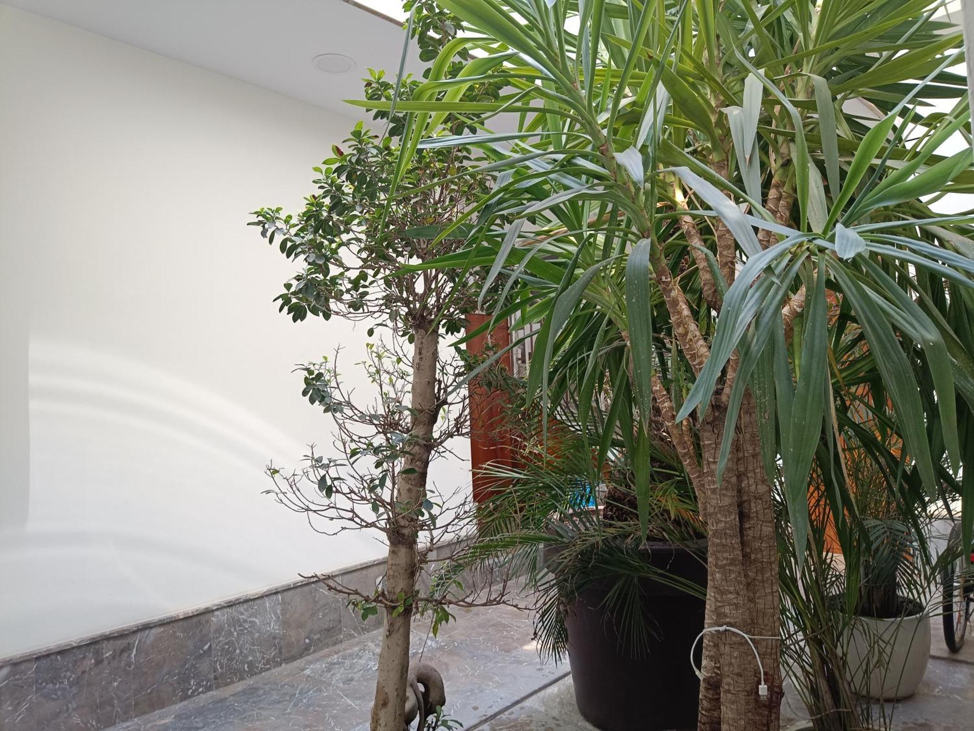 Apartamentos Luxury Puente De Triana Севиля Екстериор снимка